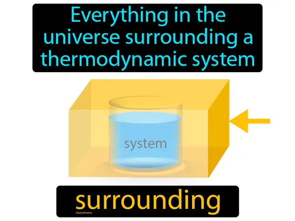 everything in the universe surrounding a thermodynamic system