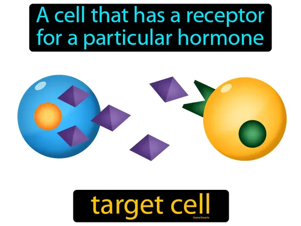 a cell that has a receptor for a particular hormone