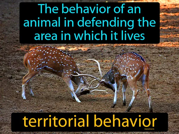 the behavior of an animal in defending the area in which it lives