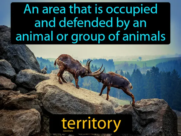 an area that is occupied and defended by an animal or group of animals
