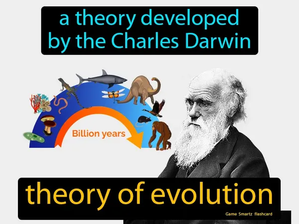 A theory developed by the Charles Darwin