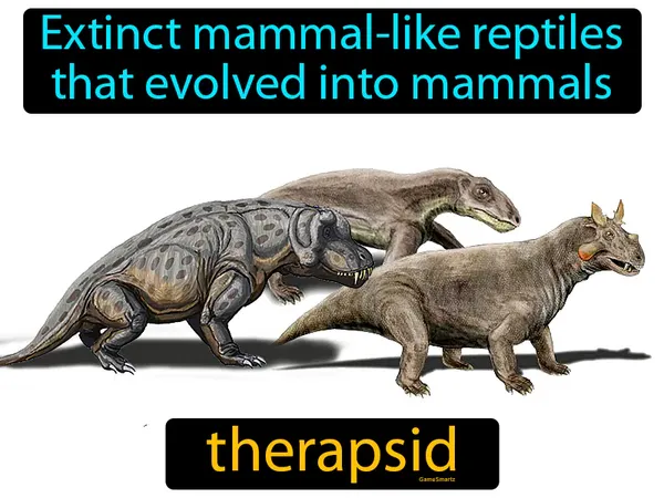 extinct mammal-like reptiles that evolved into mammals
