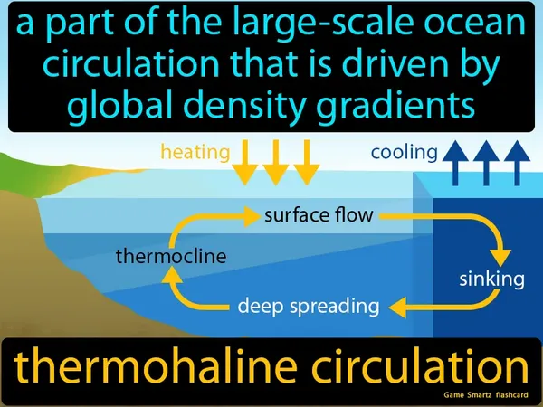 A part of the large-scale ocean circulation that is driven by global density gradients