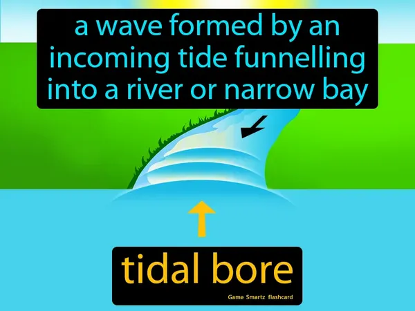 A wave formed by an incoming tide funnelling into a river or narrow bay