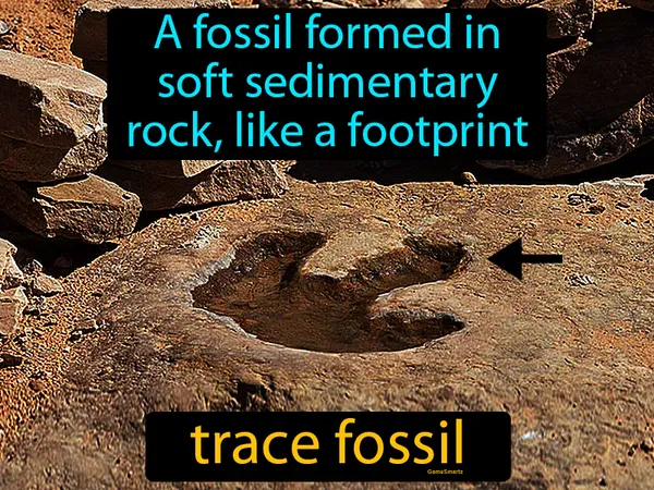 a fossil formed in soft sedimentary rock, like a footprint