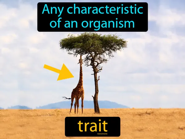 any characteristic of an organism
