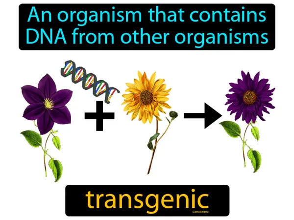 an organism that contains DNA from other organisms