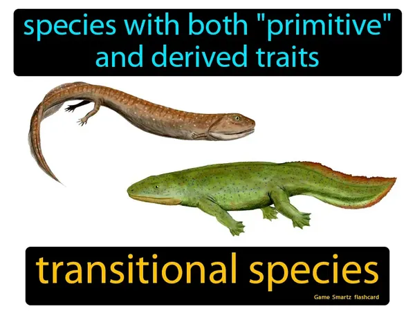 Species with both &quot;primitive&quot; and derived traits
