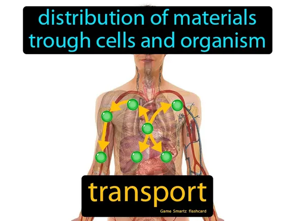 Distribution of materials trough cells and organism