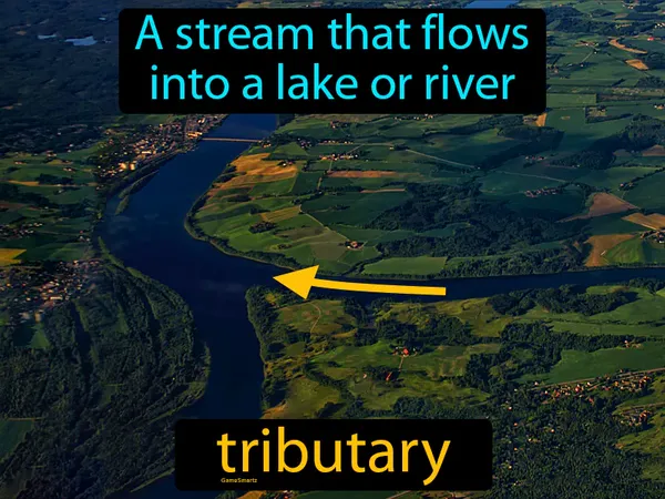 a stream that flows into a lake or river