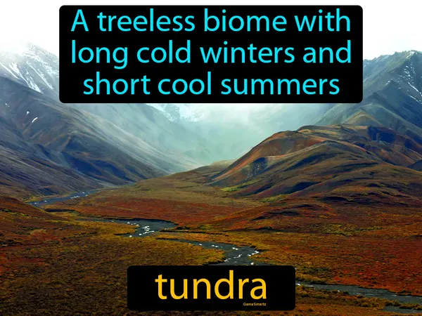 a treeless biome with long cold winters and short cool summers