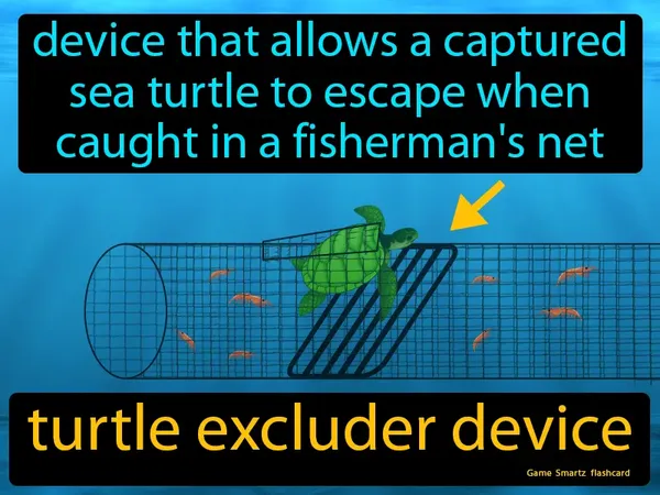 A device that allows a captured sea turtle to escape when caught in a fisherman's net