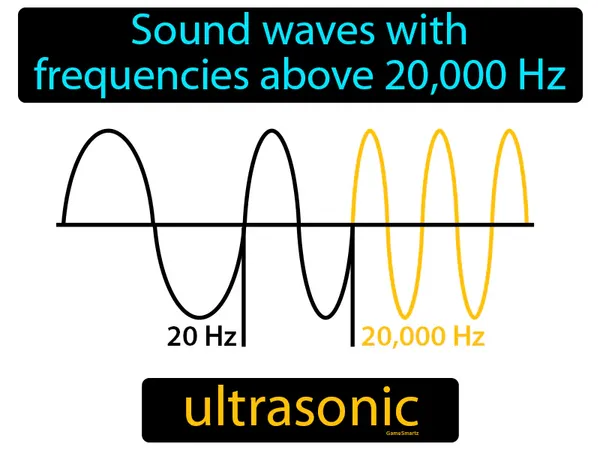 sound waves with frequencies above 20,000 Hz