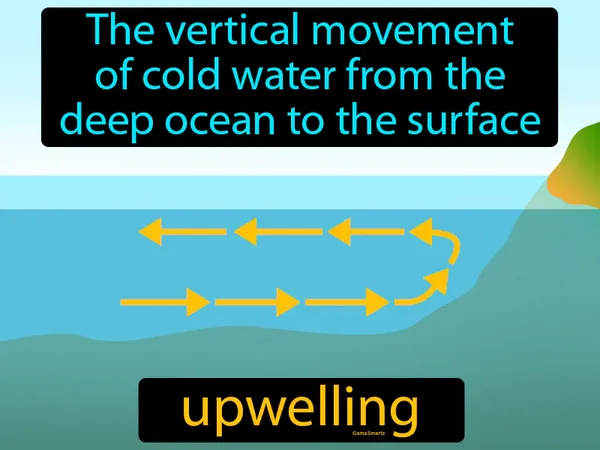 the vertical movement of cold water from the deep ocean to the surface