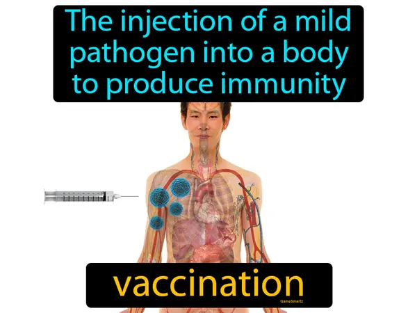 the injection of a mild pathogen into a body to produce immunity