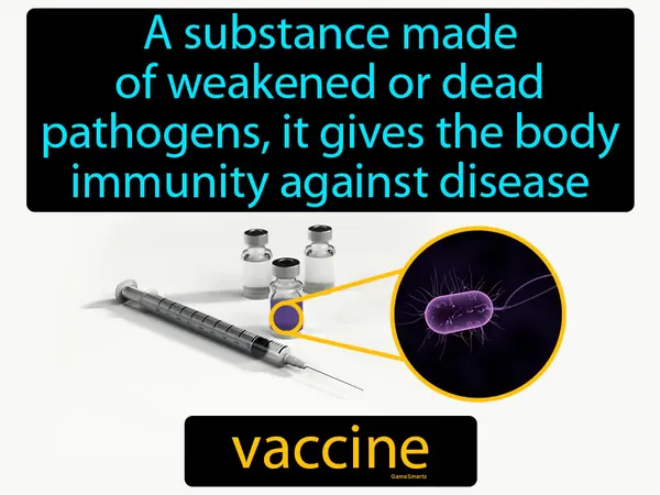a substance made of weakened or dead pathogens, it gives the body immunity against disease