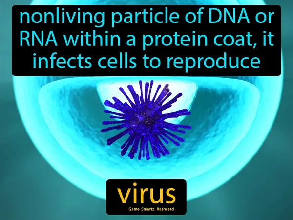 nonliving particle of DNA or RNA within a protein coat, it infects cells to reproduce