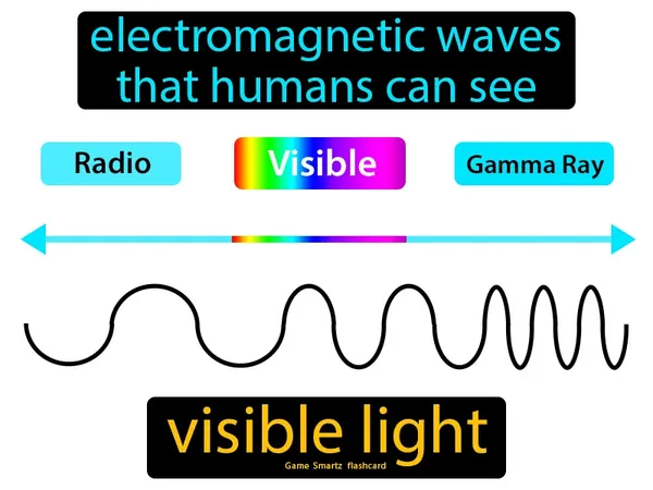 electromagnetic waves that humans can see