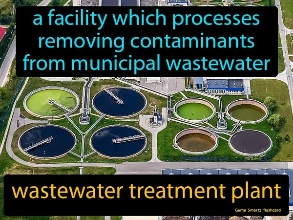 A facility which processes removing contaminants from municipal wastewater