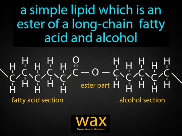 a simple lipid which is an ester of a long-chain fatty acid and alcohol