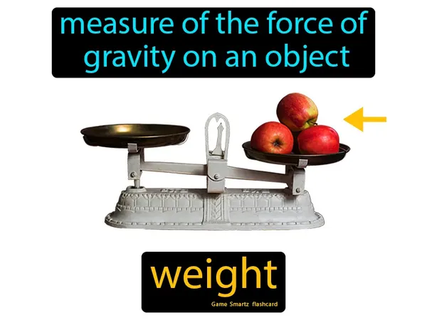 measure of the force of gravity on an object