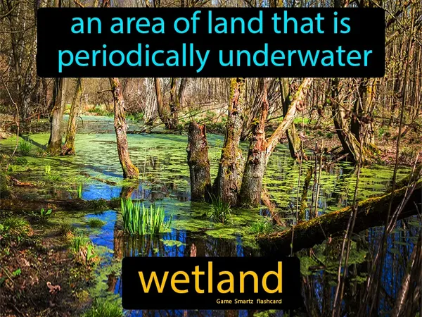 An area of land that is periodically underwater