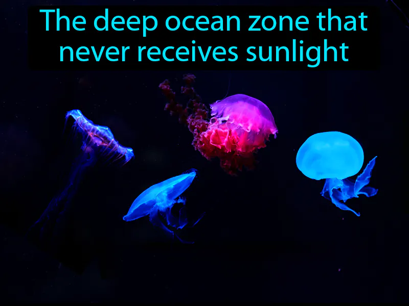 Aphotic Zone Definition with no text | Radience Gaming Aphotic Zone Definition with no text | Radience Gaming