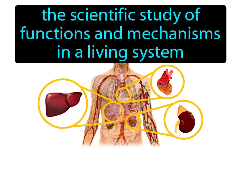 Physiology Definition with no text | Radience Gaming Physiology Definition with no text | Radience Gaming