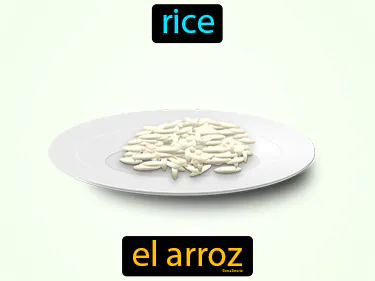 Foods