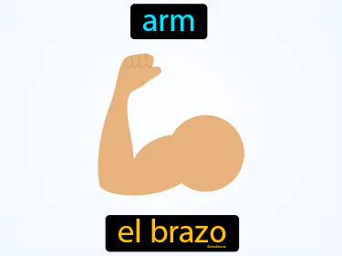 Parts of the Body