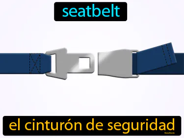 seatbelt