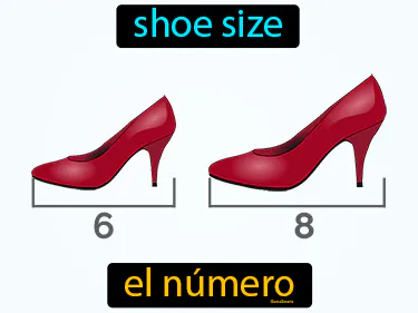 shoe size