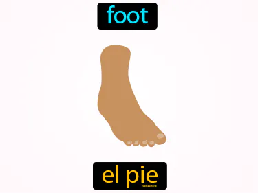 foot