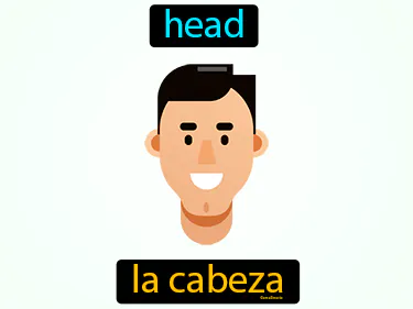 head