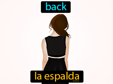 back