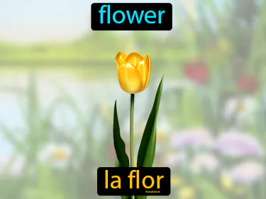 flower