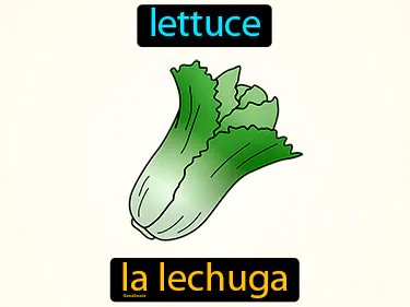 lettuce