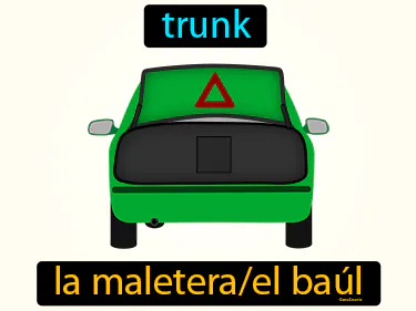 trunk
