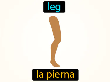 leg