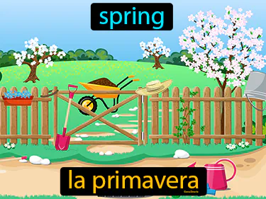 spring