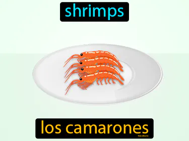 shrimps