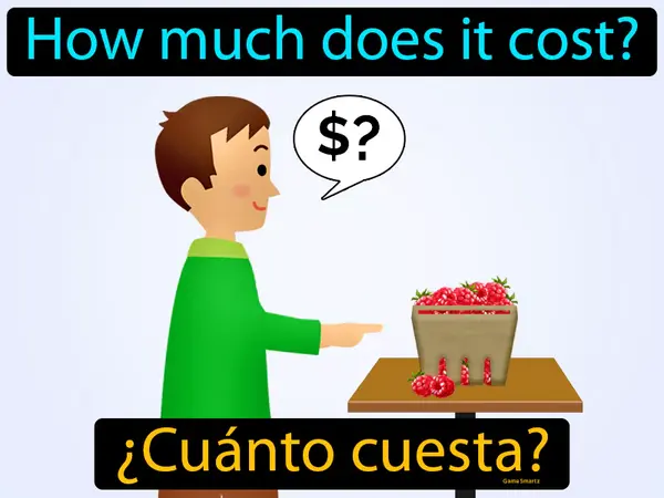 how much does it cost?