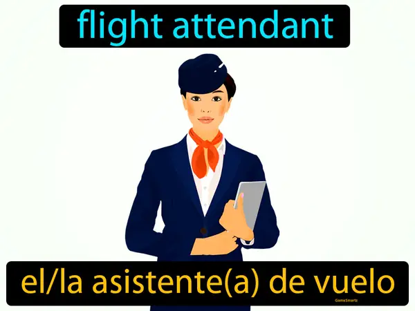 flight attendant