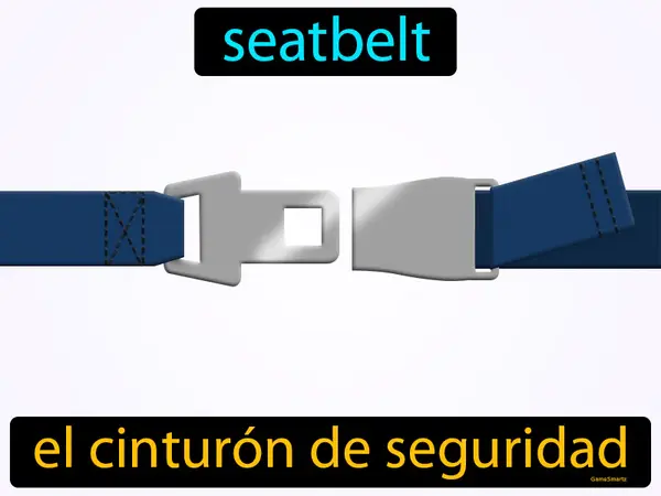 seatbelt
