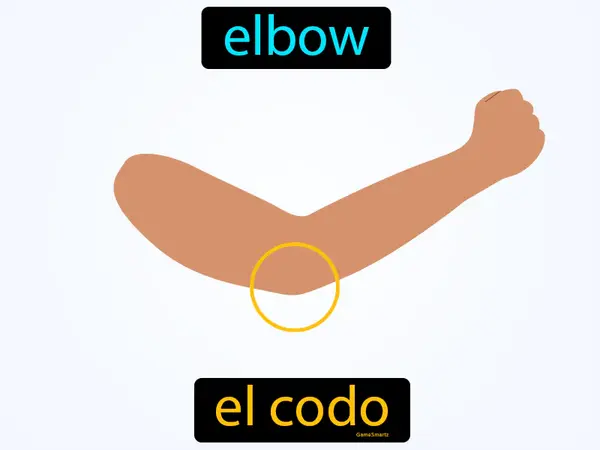 elbow