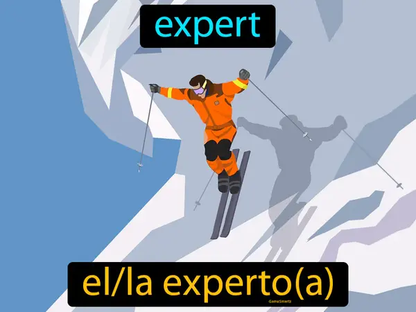 expert