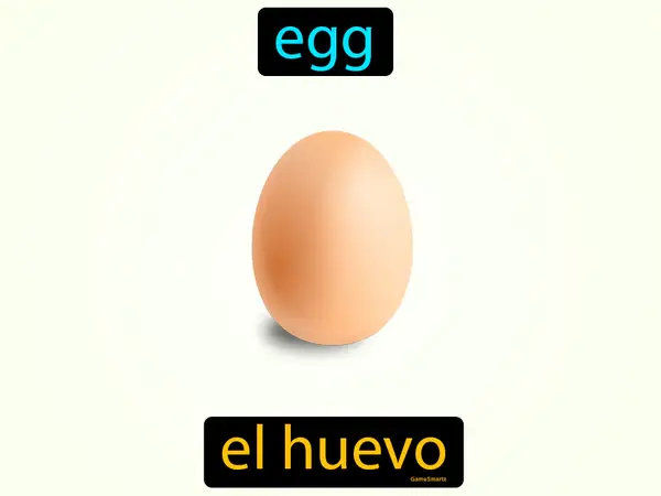 egg