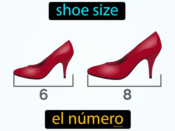 shoe size