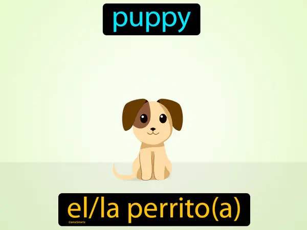 puppy