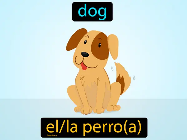 dog